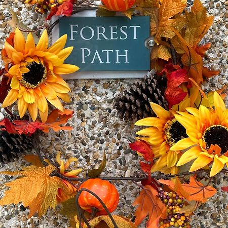 Forest Path Luxury Studio Apartment With Large Bedroom Bathroom And Sauna Sleeps Up To 4 Ballynahinch Eksteriør billede