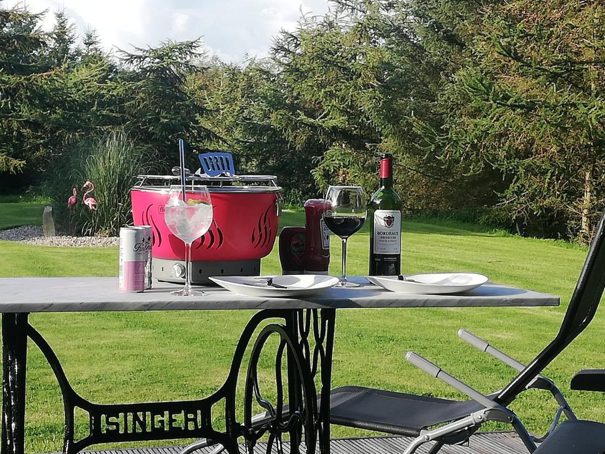 Forest Path Luxury Studio Apartment With Large Bedroom Bathroom And Sauna Sleeps Up To 4 Ballynahinch Eksteriør billede