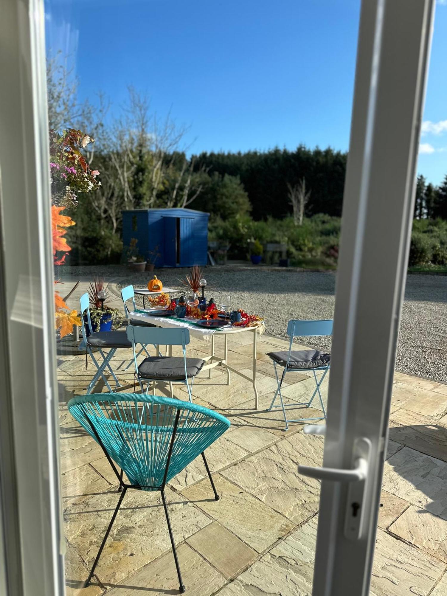 Forest Path Luxury Studio Apartment With Large Bedroom Bathroom And Sauna Sleeps Up To 4 Ballynahinch Eksteriør billede