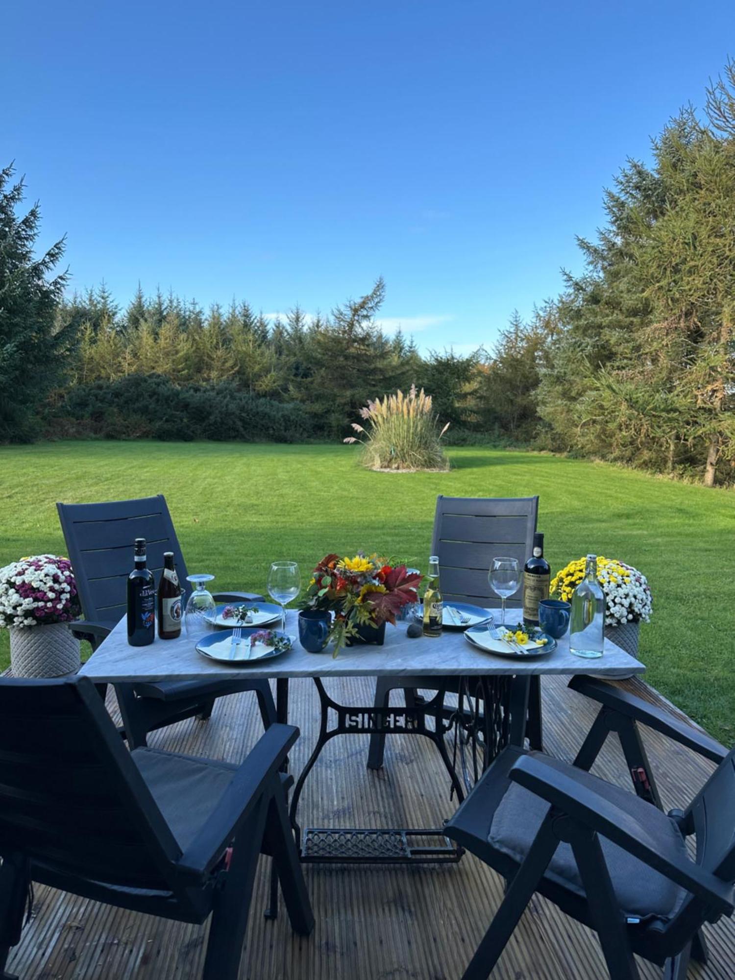 Forest Path Luxury Studio Apartment With Large Bedroom Bathroom And Sauna Sleeps Up To 4 Ballynahinch Eksteriør billede