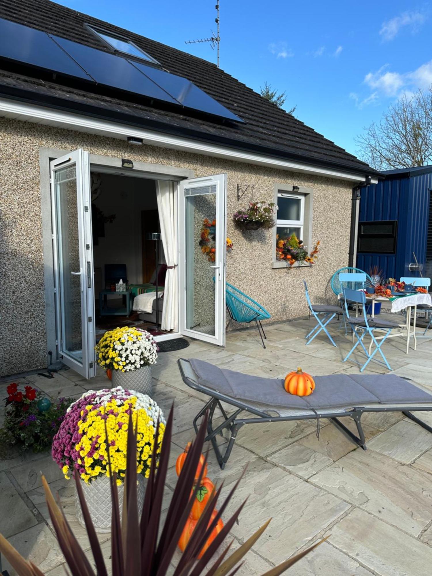 Forest Path Luxury Studio Apartment With Large Bedroom Bathroom And Sauna Sleeps Up To 4 Ballynahinch Eksteriør billede
