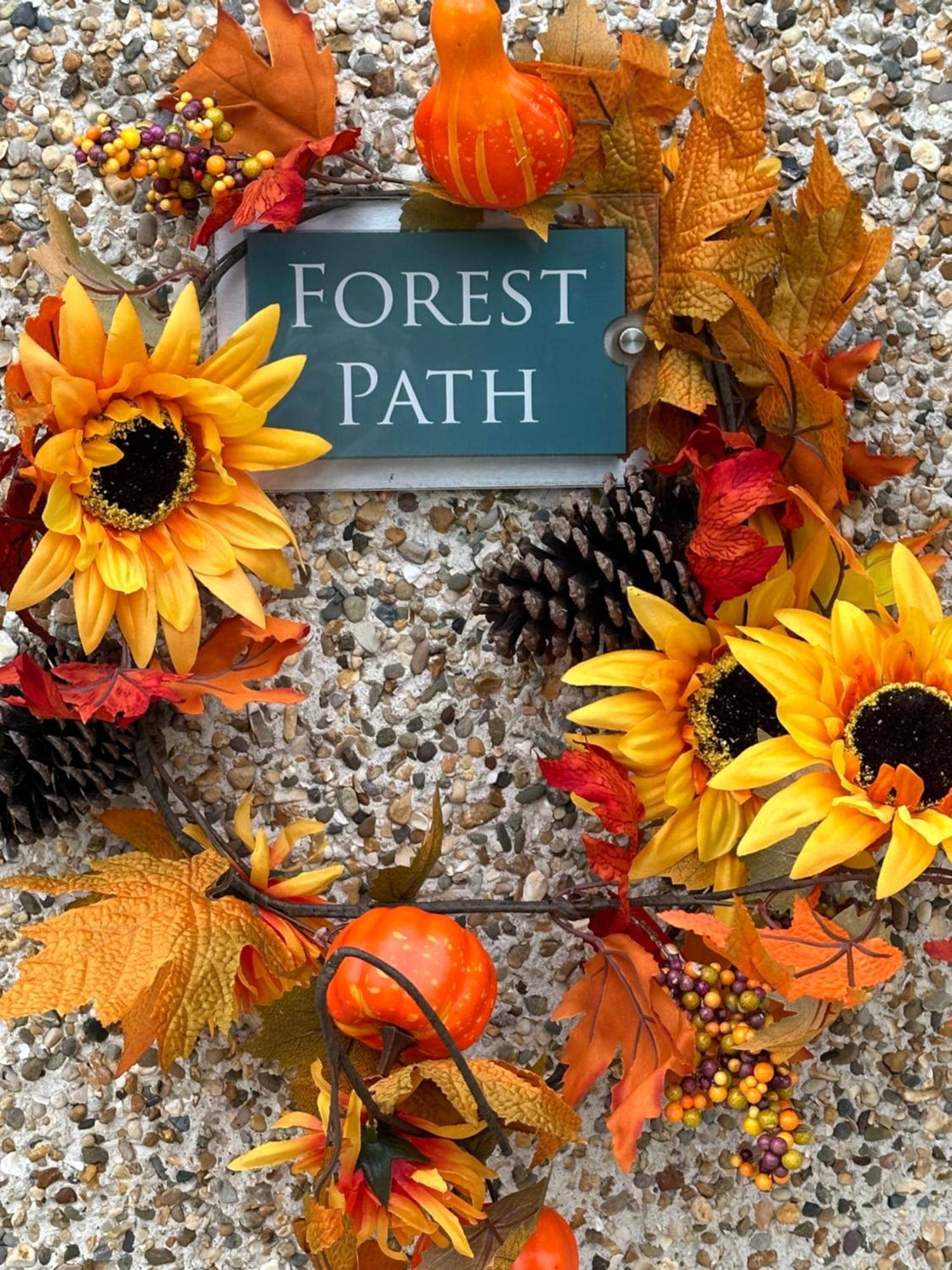 Forest Path Luxury Studio Apartment With Large Bedroom Bathroom And Sauna Sleeps Up To 4 Ballynahinch Eksteriør billede
