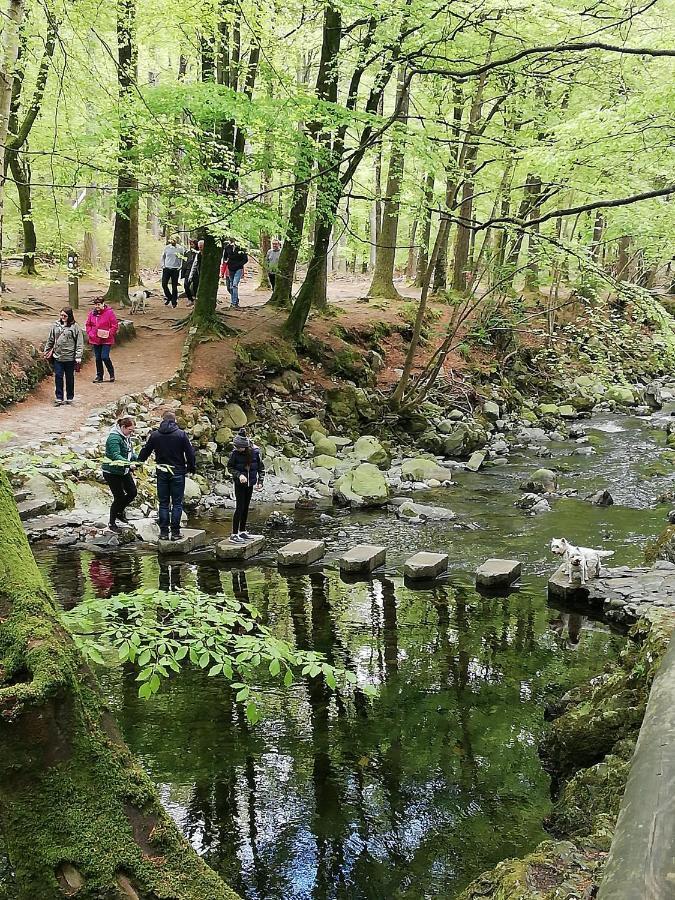 Forest Path Luxury Studio Apartment With Large Bedroom Bathroom And Sauna Sleeps Up To 4 Ballynahinch Eksteriør billede